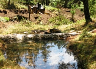 Senderos naturales